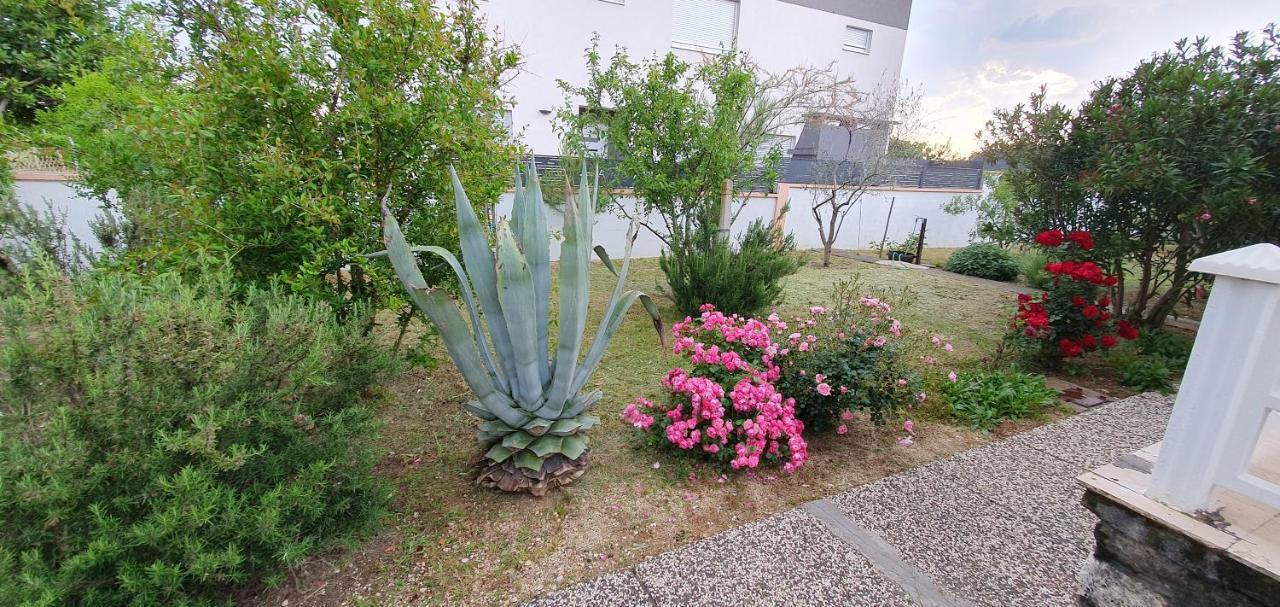 Mediterranean House 50M From The Sea Nin Exterior foto